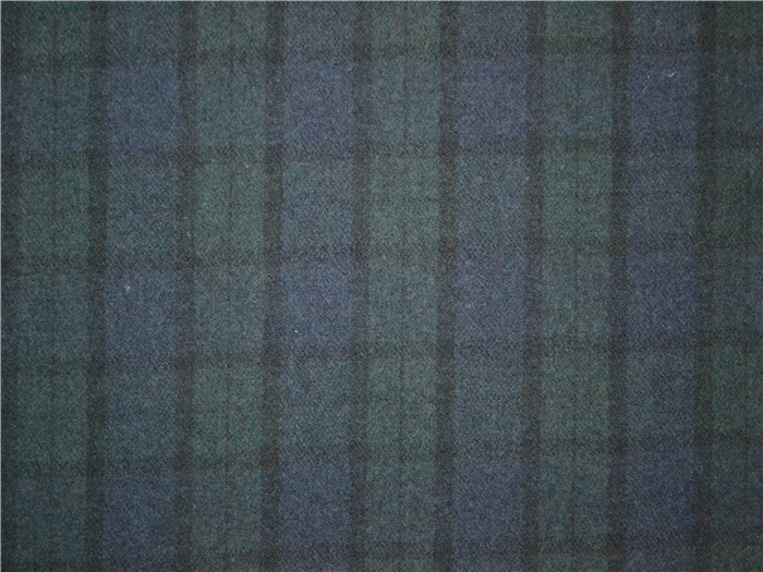 BLUE/GREEN CHECK  Z18172